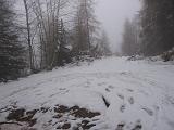 VALTELLINA - Alpe Colina - 056